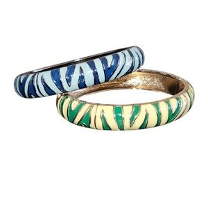 Blue & Green 2 pc. Zebra Print Metal Hinge Bracelets